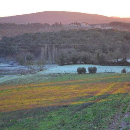 Podere Ficareto Farm Ancaiano Exteriör bild