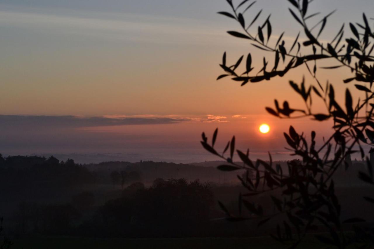 Podere Ficareto Farm Ancaiano Exteriör bild